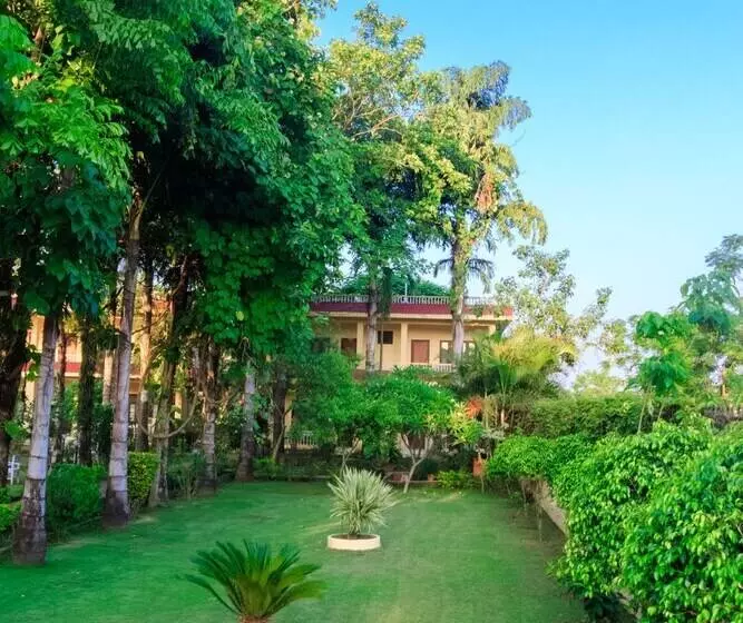 استراحتگاه Rainforest