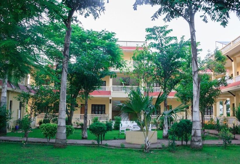 استراحتگاه Rainforest