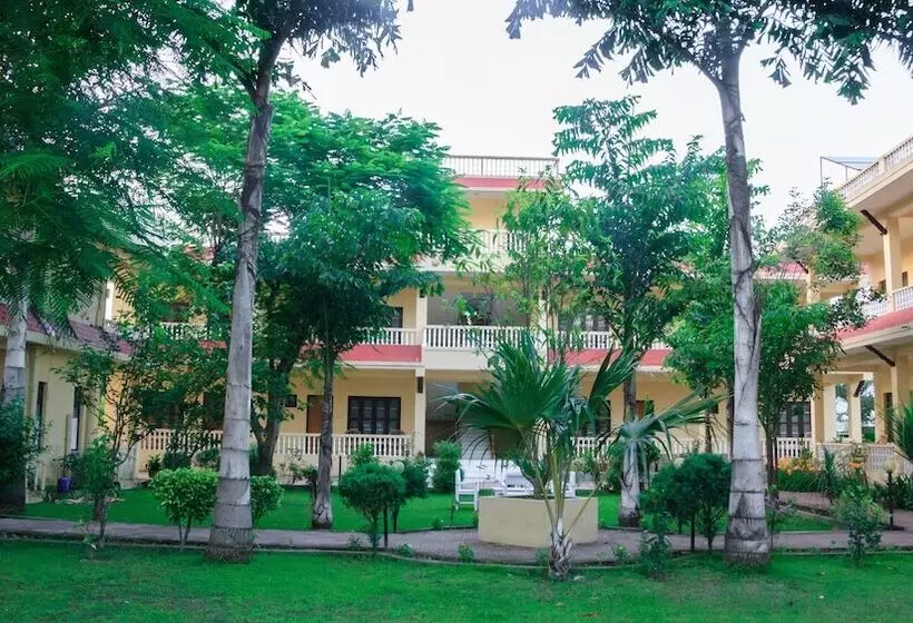 استراحتگاه Rainforest