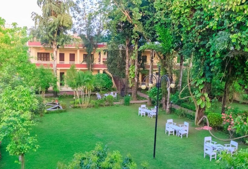 استراحتگاه Rainforest