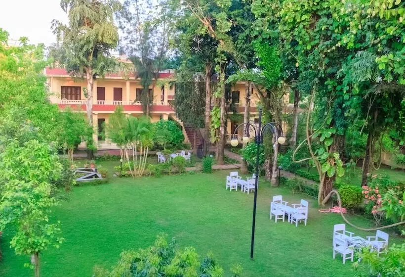 استراحتگاه Rainforest