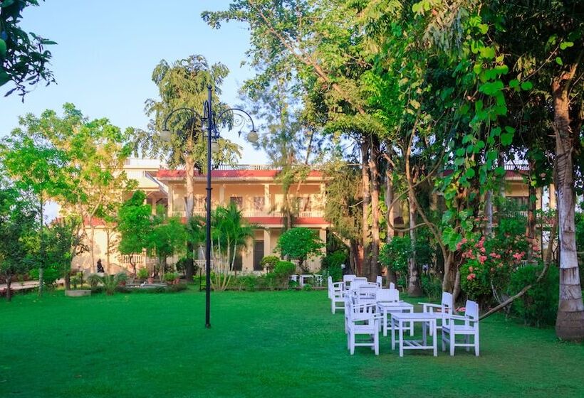 استراحتگاه Rainforest