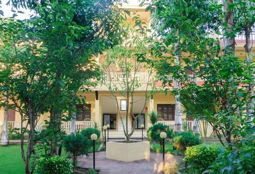 استراحتگاه Rainforest