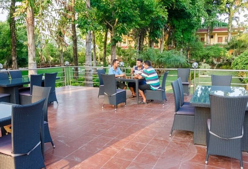 استراحتگاه Rainforest