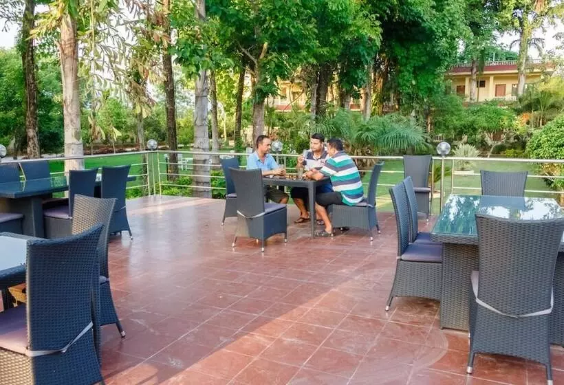 استراحتگاه Rainforest