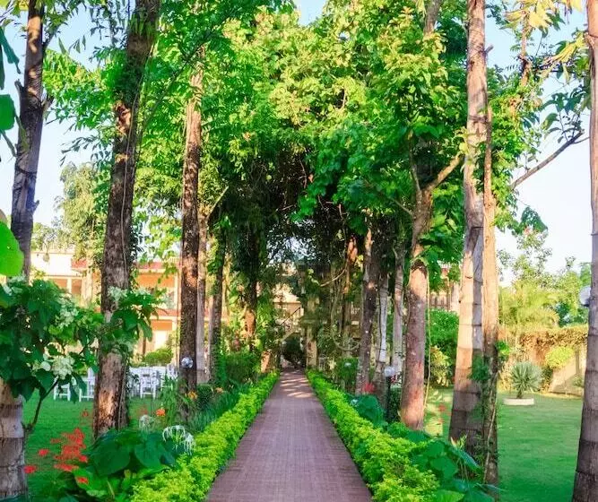 استراحتگاه Rainforest