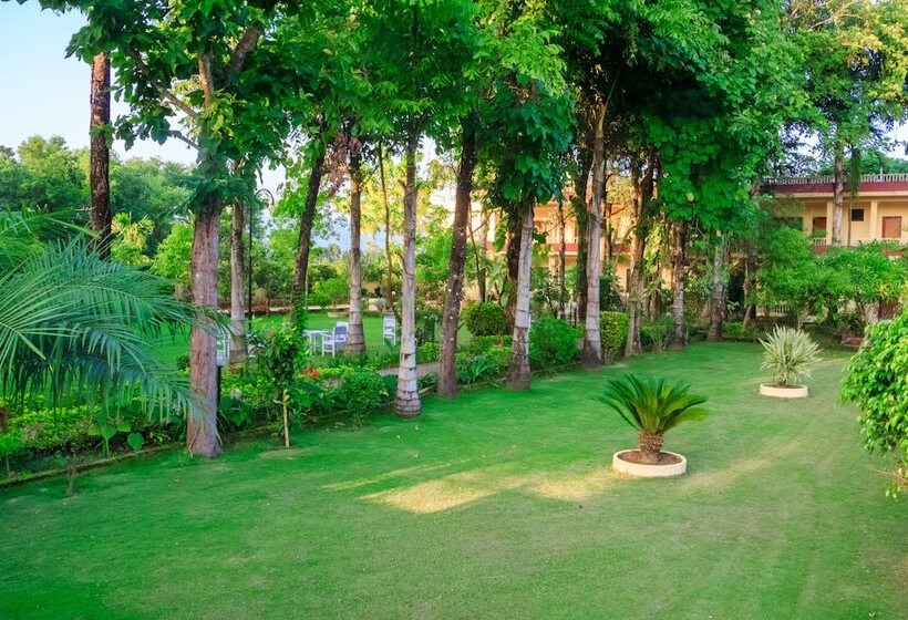 استراحتگاه Rainforest