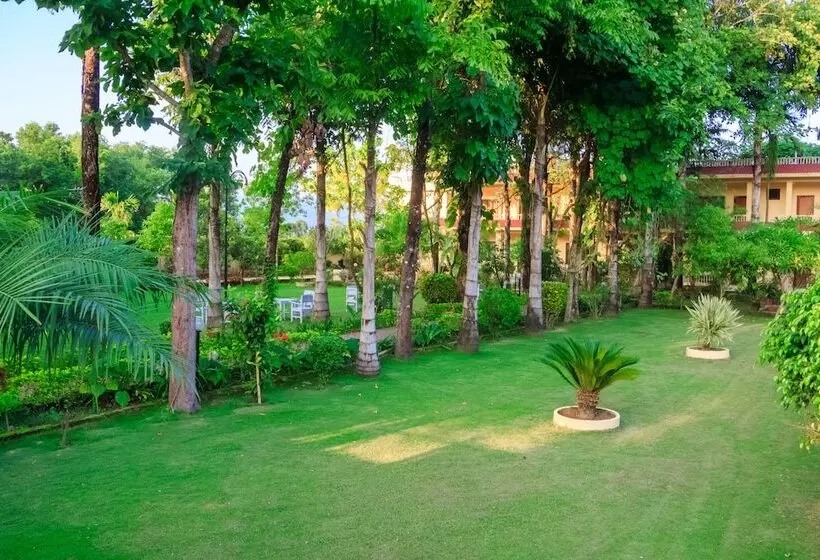 استراحتگاه Rainforest