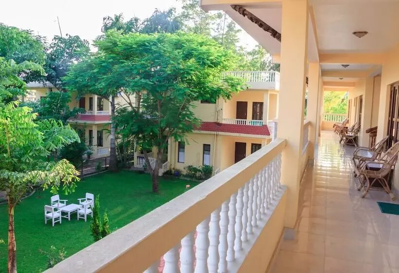 استراحتگاه Rainforest