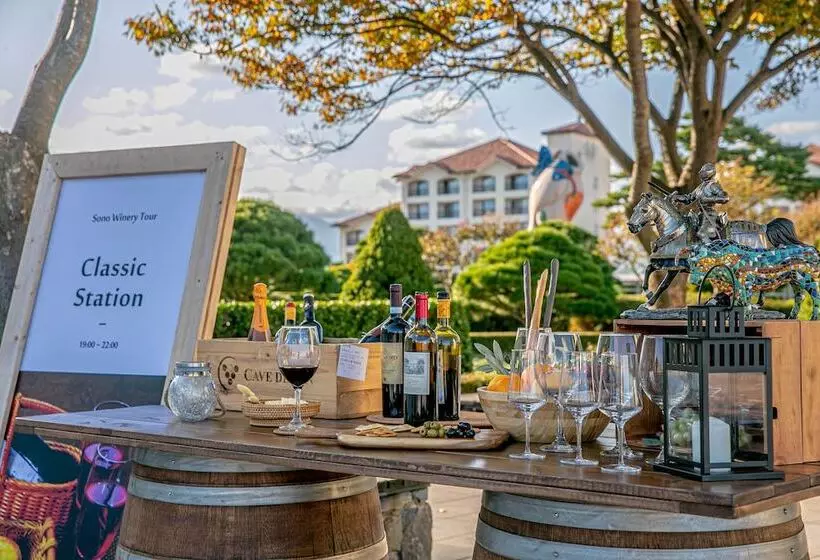 리조트 Sol Beach Yangyang