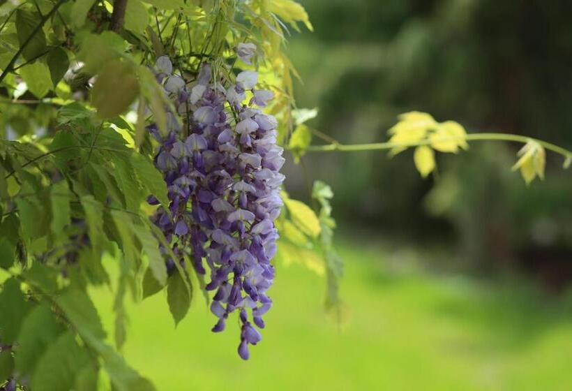 Ferienhotel Bodensee