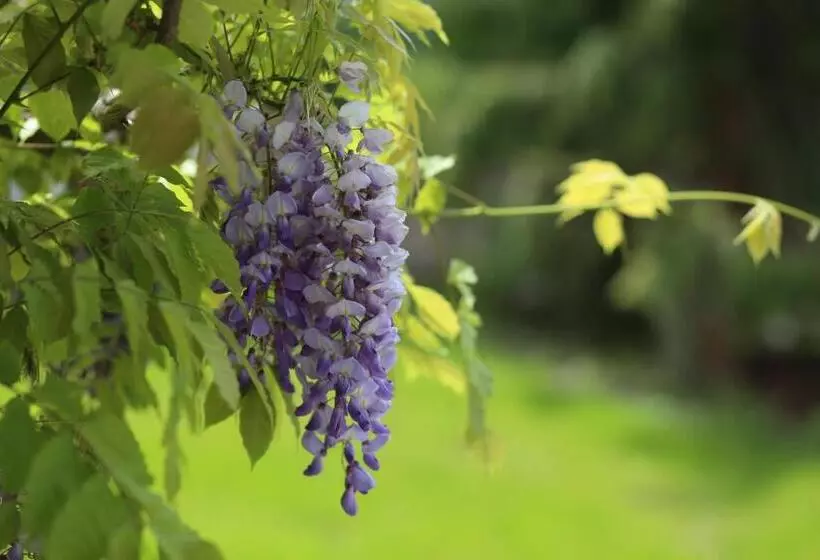 Ferienhotel Bodensee
