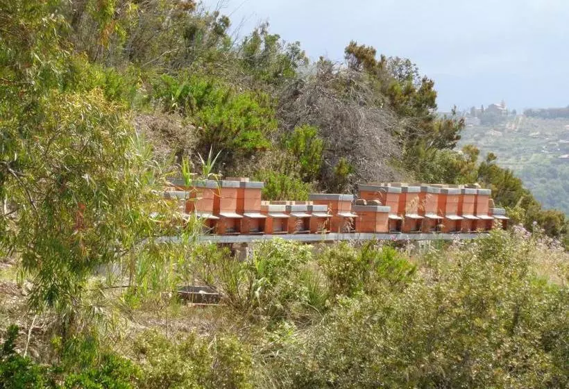 ホテル Agriturismo Le Agavi