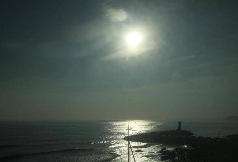 Hotel Benikea Mountain And Sea Daepo Port