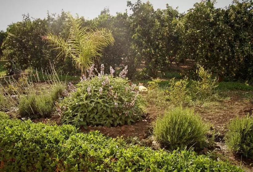 هتل Il Giardino Del Sole