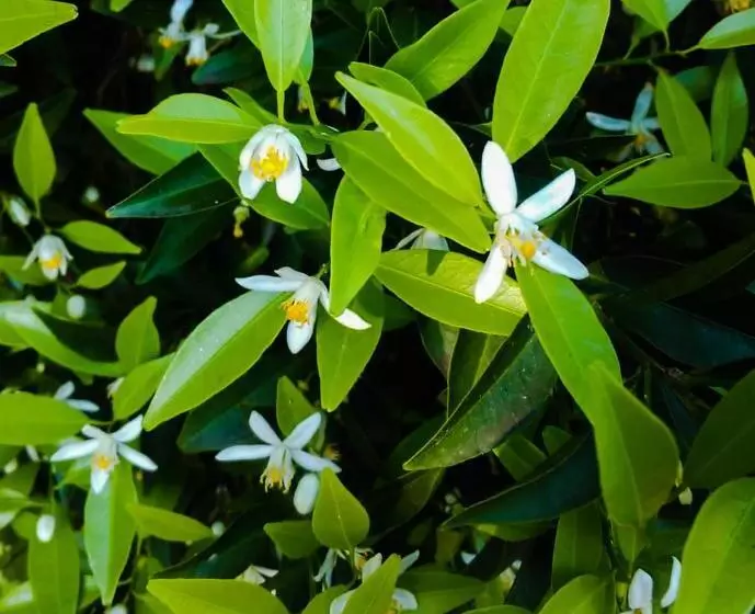 هتل Il Giardino Del Sole