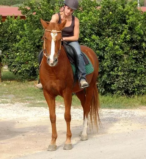 هتل Il Giardino Del Sole