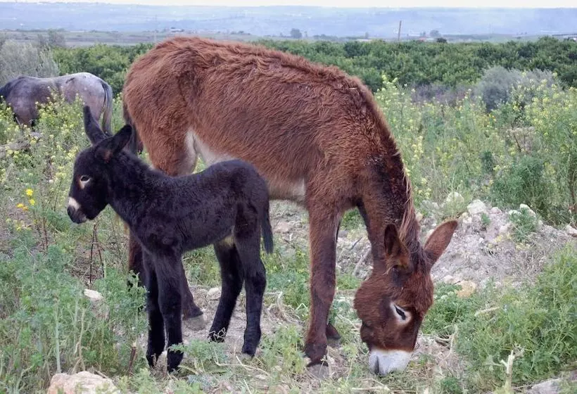 هتل Il Giardino Del Sole