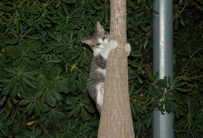 هتل Il Giardino Del Sole