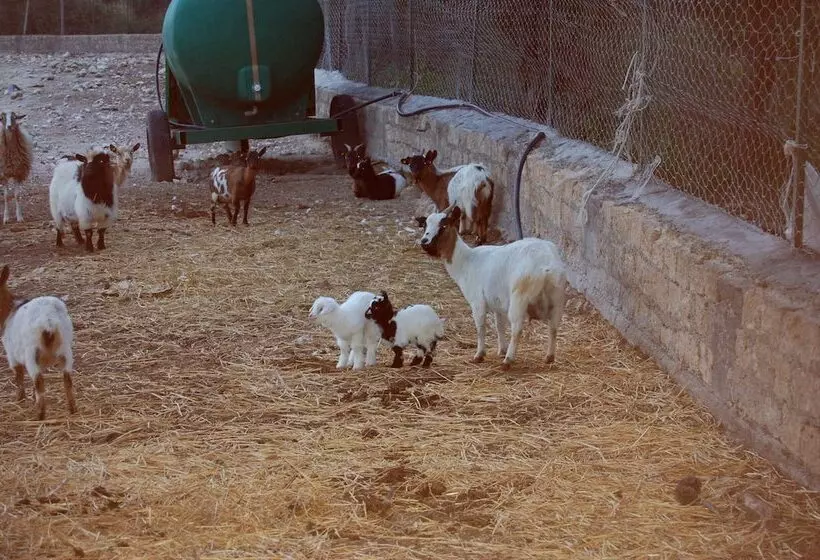 هتل Il Giardino Del Sole