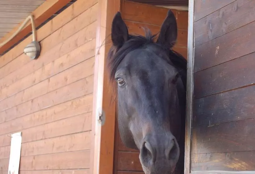 هتل Il Giardino Del Sole