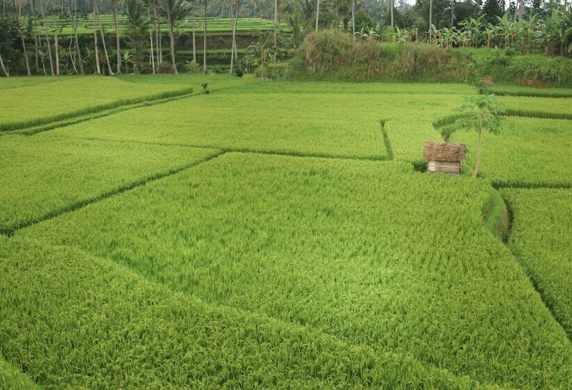 فندق Om Ham Retreat And Resort