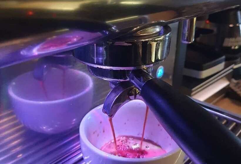 בית מלון כפרי The Covenanter