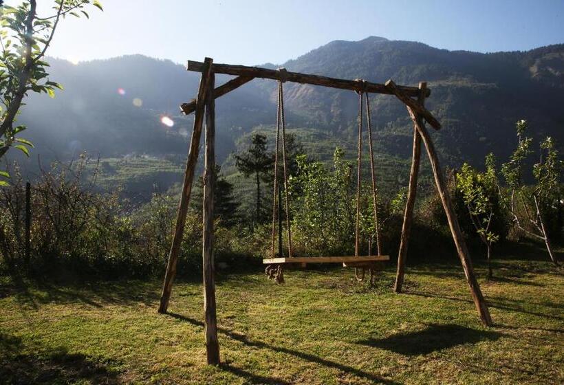 Larisa Resort Manali