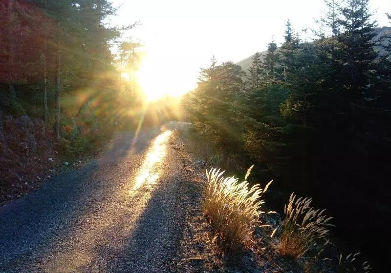 Пансион La Bastide Des Pins