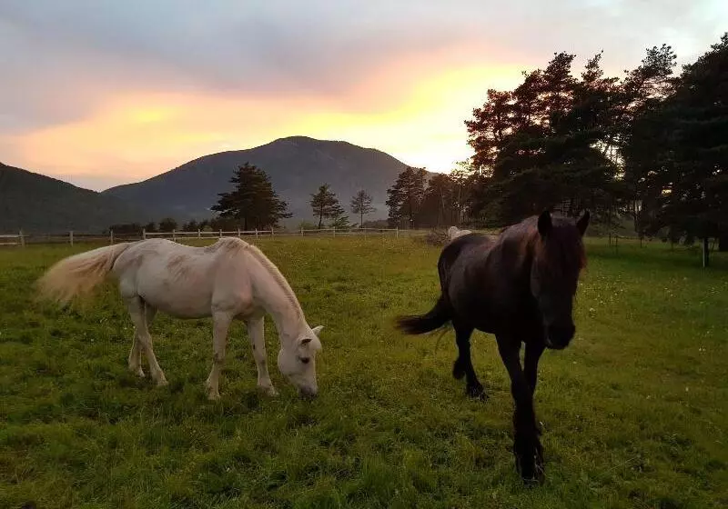 Пансион La Bastide Des Pins