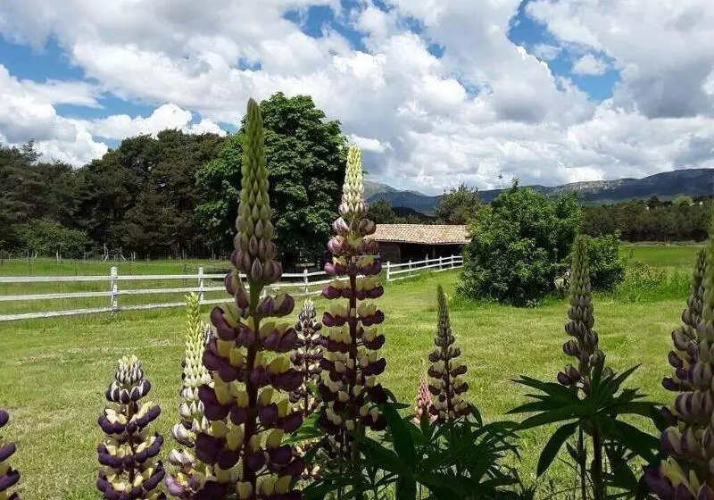Пансион La Bastide Des Pins