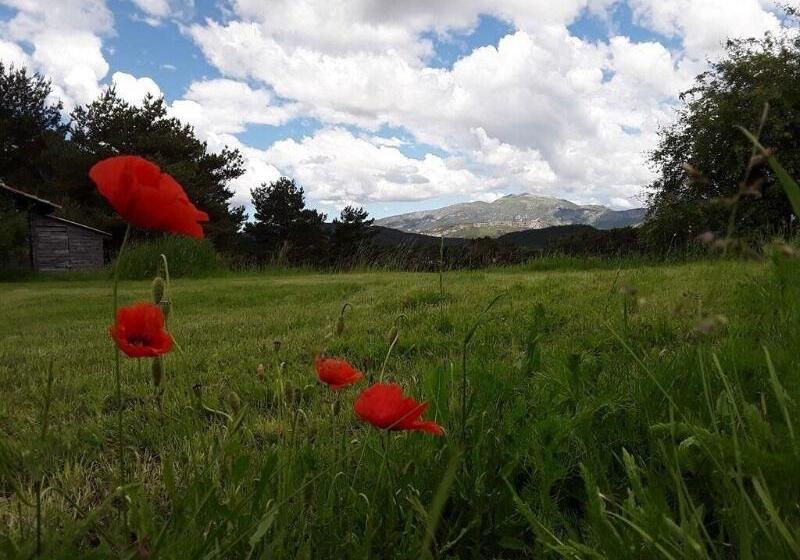 بنسيون La Bastide Des Pins