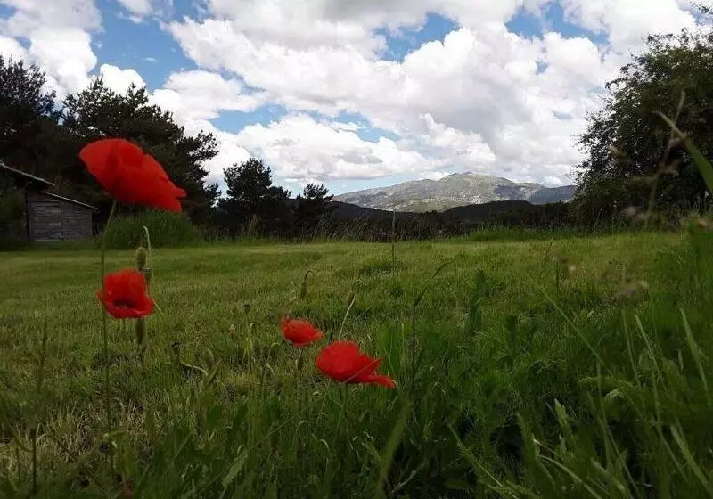 Пансион La Bastide Des Pins