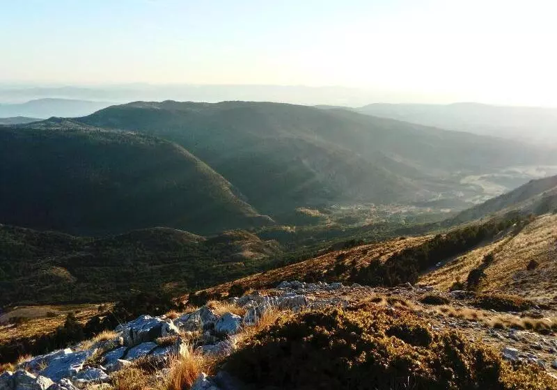 Пансион La Bastide Des Pins