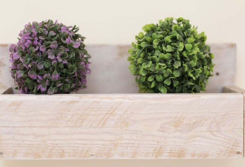 膳宿费 Trapani Home