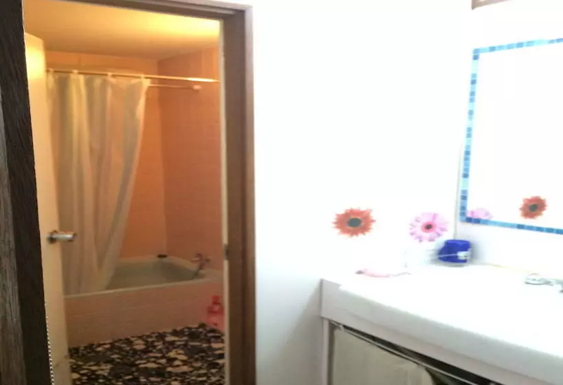 הוסטל Guest House Social House