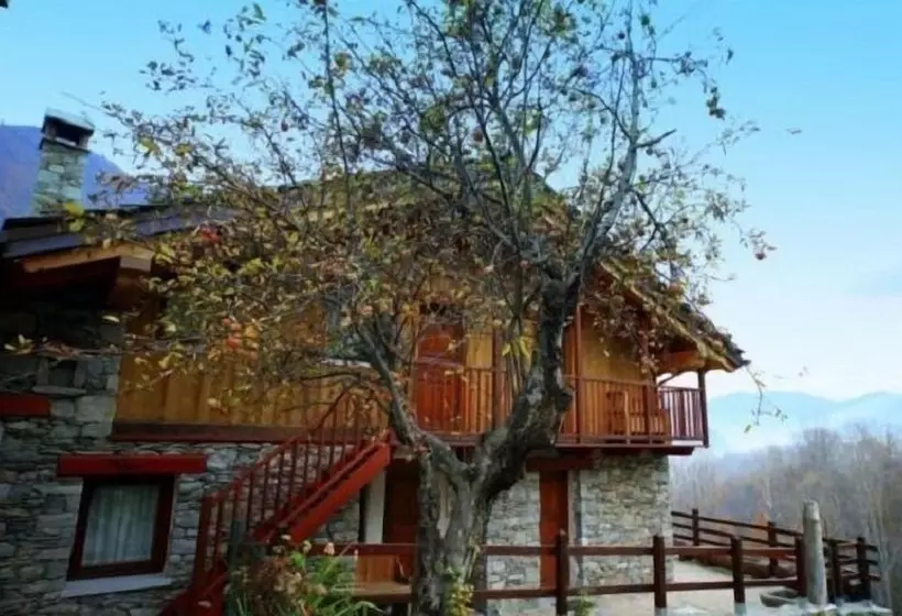 Bed and Breakfast Eco Chalet Maison Dominique