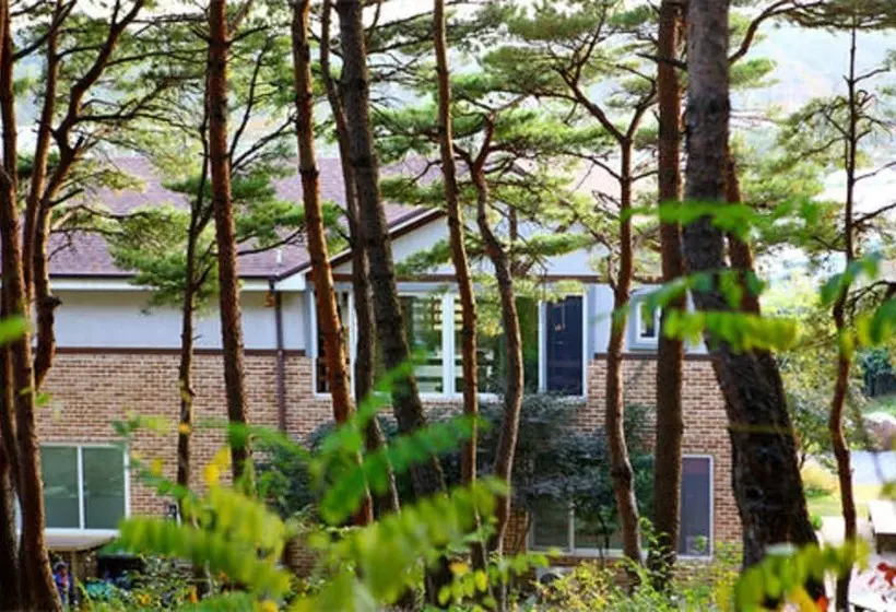 Casa Seorak Bed And Breakfast
