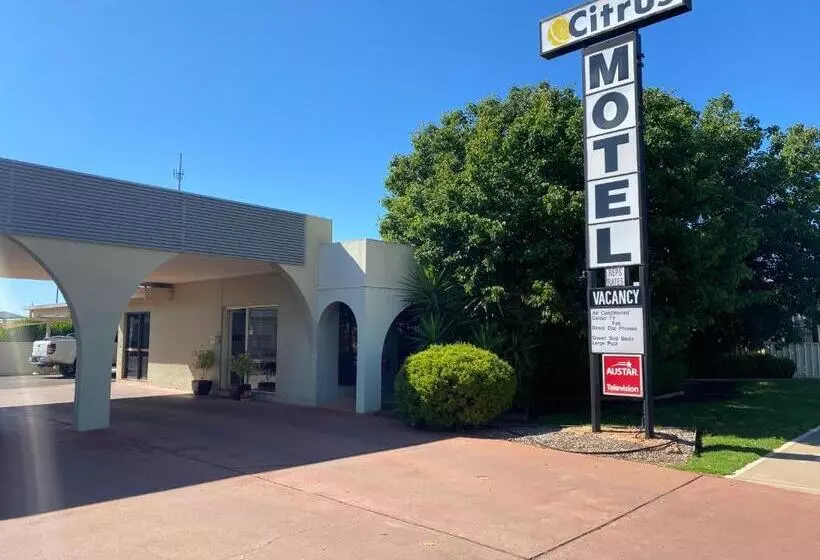 Citrus Motel