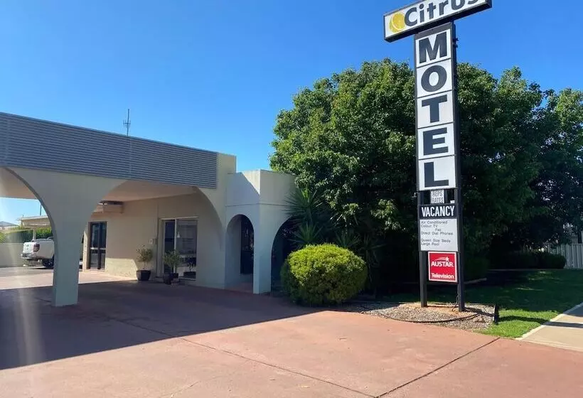 Citrus Motel