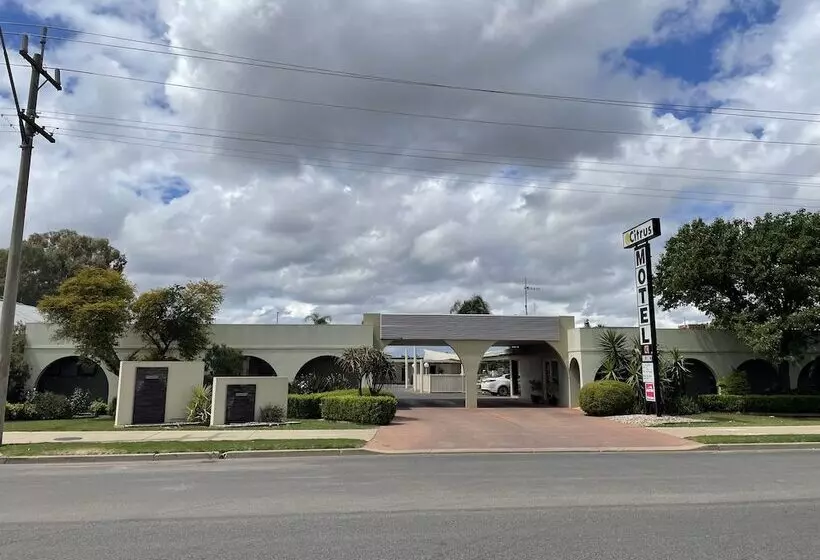 Citrus Motel