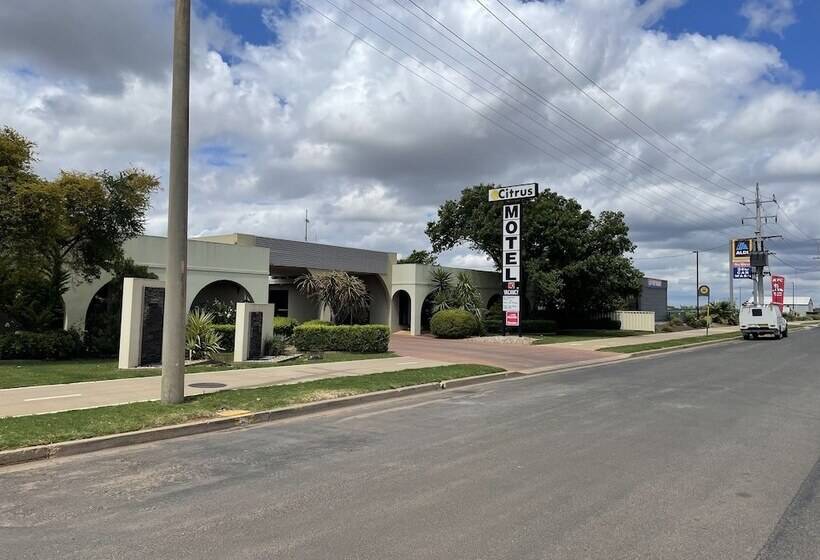 Citrus Motel