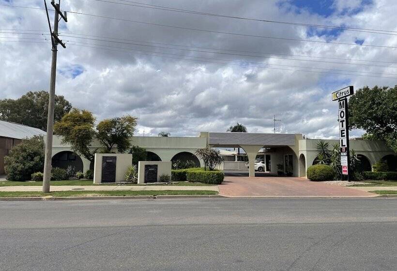 Citrus Motel