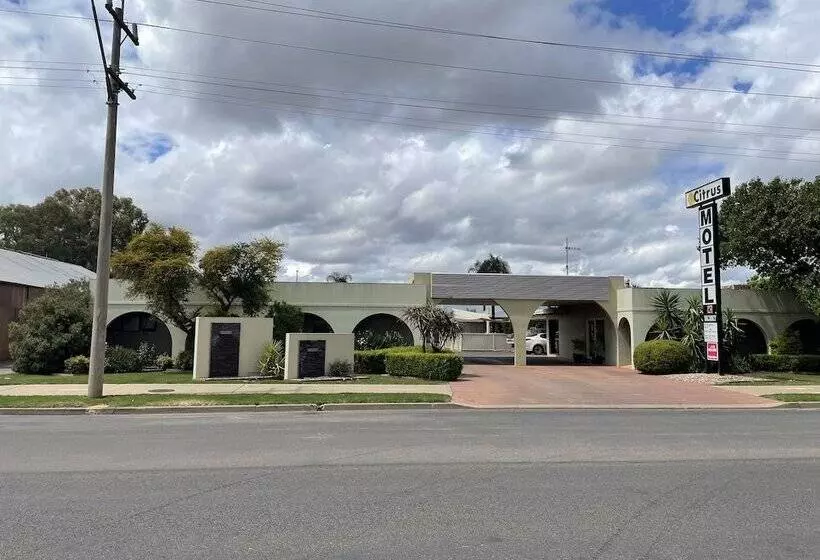 Citrus Motel
