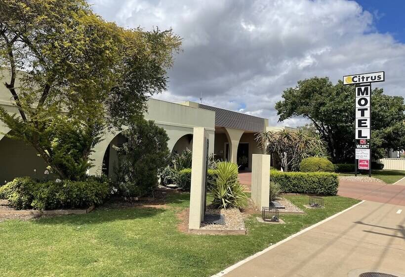 Citrus Motel
