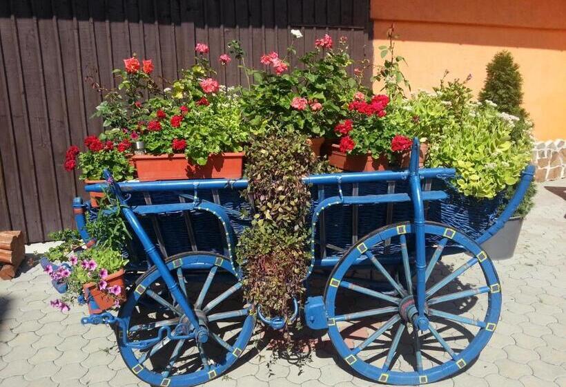 בית מלון כפרי Bliss