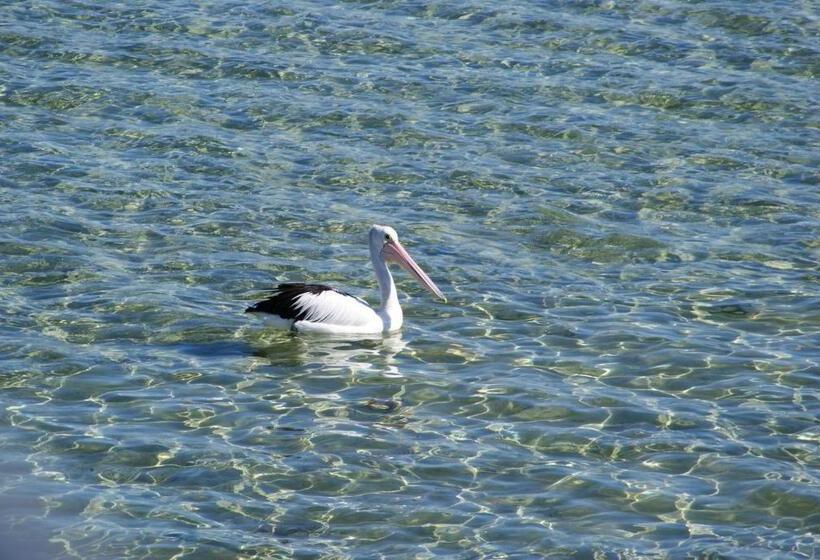 호텔 Ceduna Motor Inn