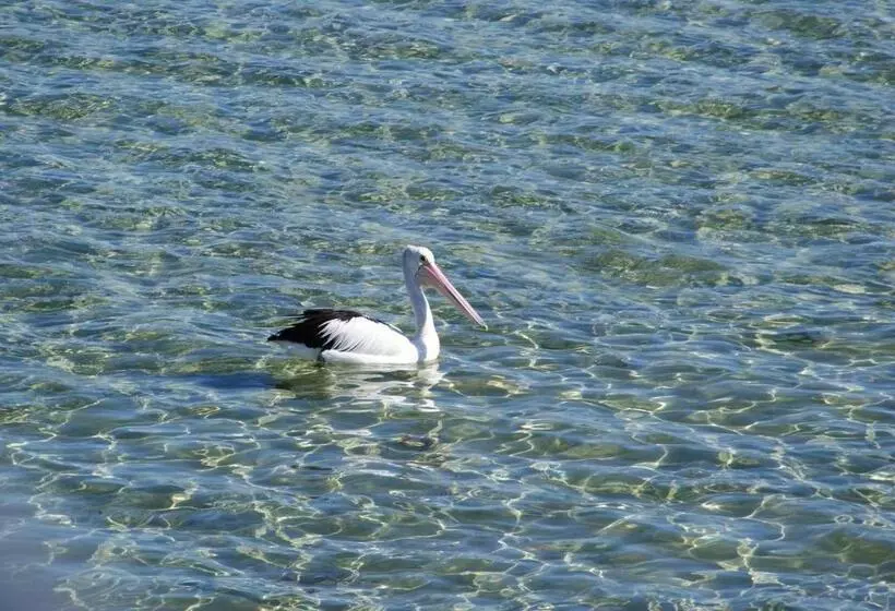 هتل Ceduna Motor Inn