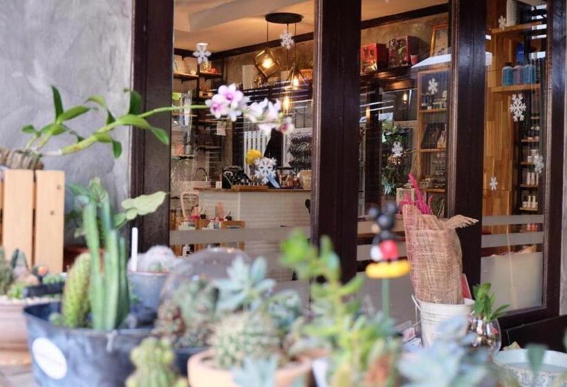 Pensjonat Ihouse Chiangrai