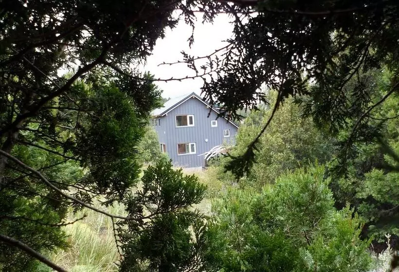Un Vistón Modern Mountain Home